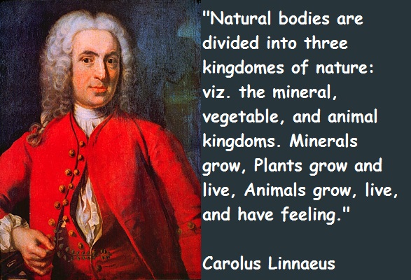 Carolus-Linnaeus-Quotes-2.jpg