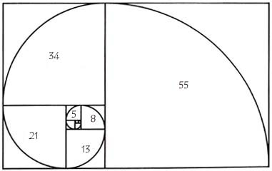 fibonaccispiral11.jpg